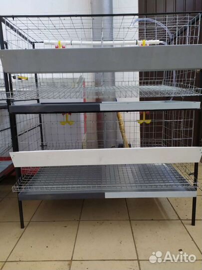 Клетки для кур-несушек