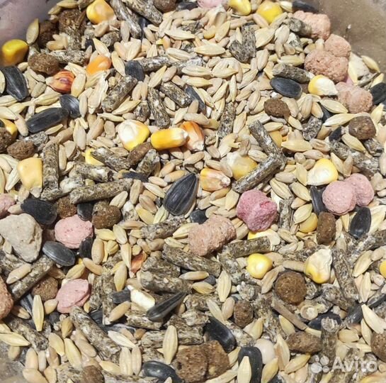 Корм для грызунов