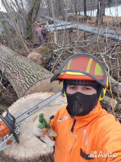 Удаление деревьев. Расчистка участка Шишкин лес