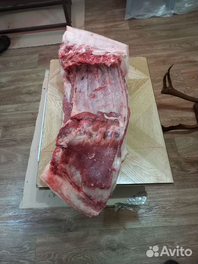 Мясо свинина