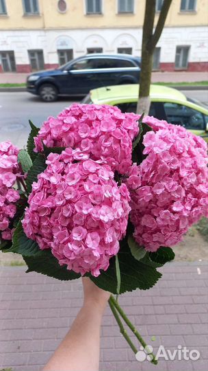 Ночной продавец цветов