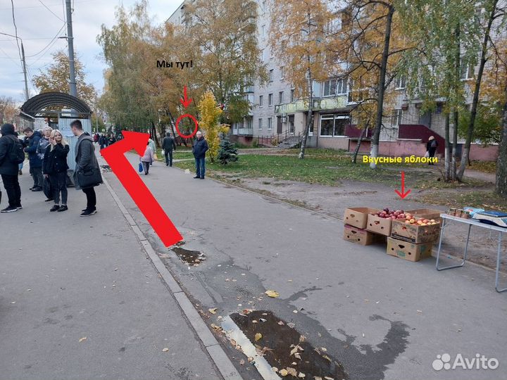 Комбоусилитель Комбик. 3В.Гитарный комбоусилитель