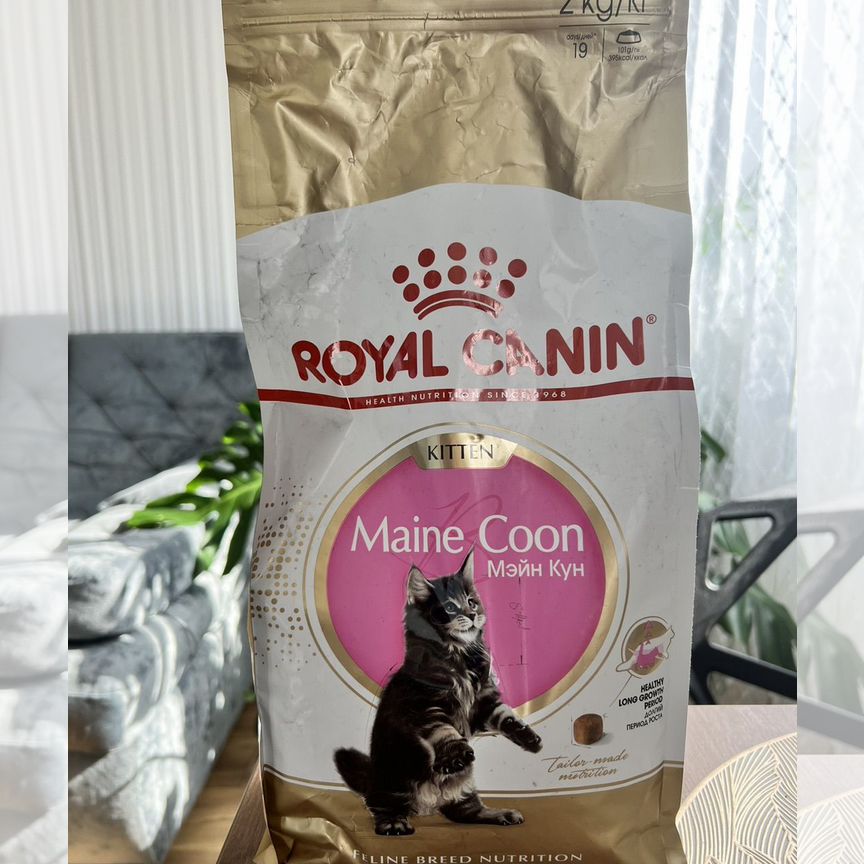 Корм для котят royal canin мейн-кун