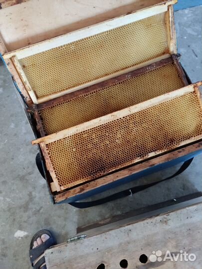 Рамки для пчел