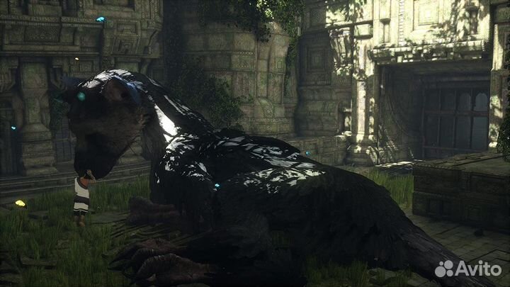 The Last Guardian. Последний хранитель PS4, русски