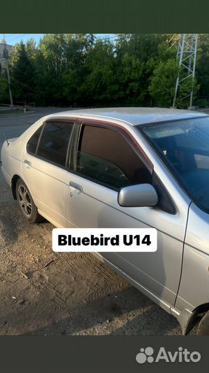 Каркасные сетки на все