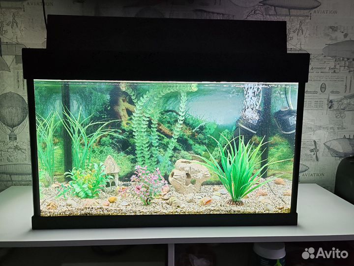 Аквариум