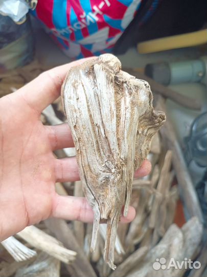 Коряжки продам