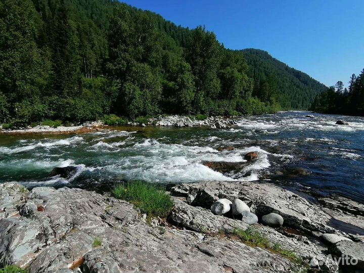 Семейный поход-рыбалка на Казыр