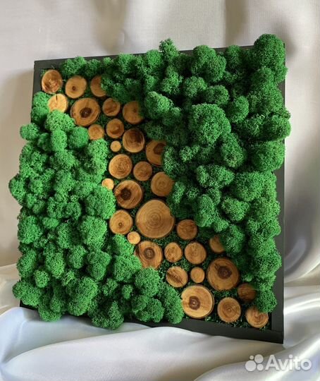 Картина, панно из мха и дерева