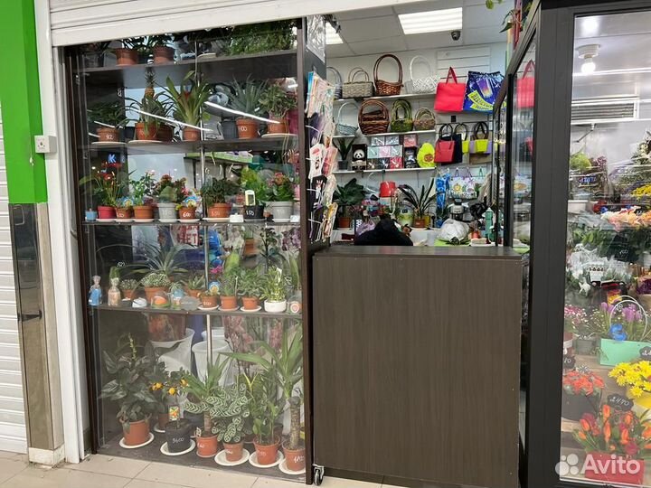 Цветочный магазин готовый бизнес