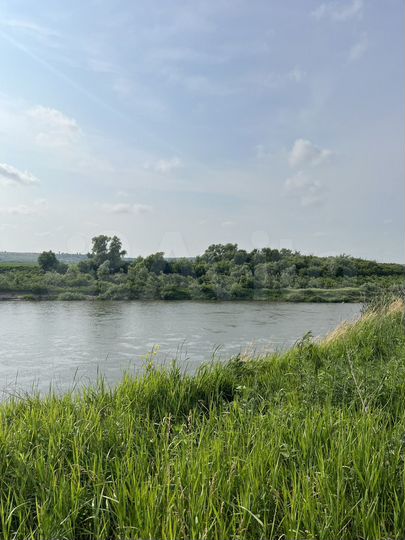 Участок 6 сот. (СНТ, ДНП)