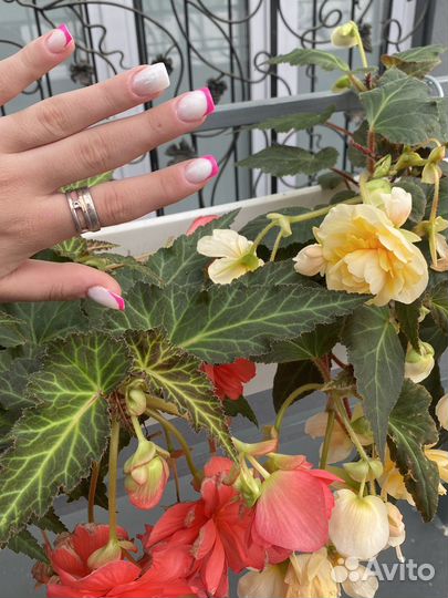 Маникюр педикюр Южное шоссе бесплатно