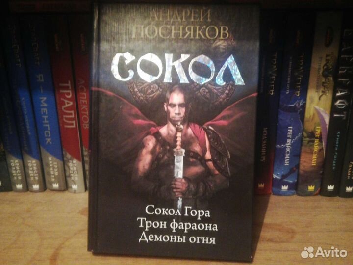 Андрей Посняков - Сокол