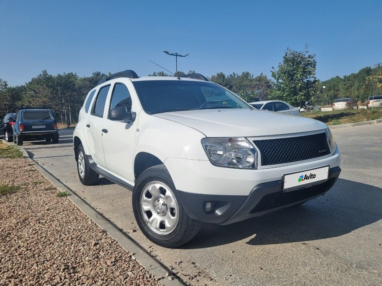 Renault Duster: фото владельца
