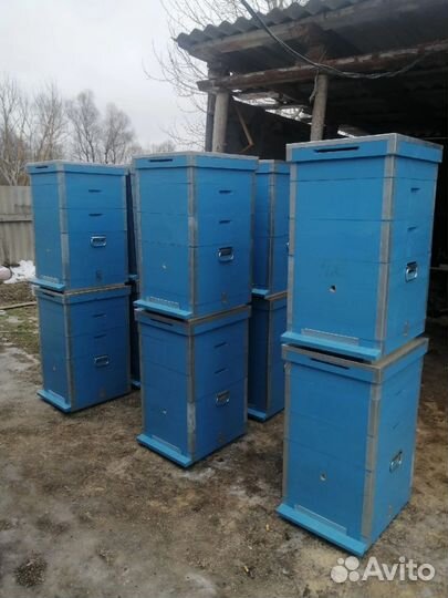 Рамки для пчел