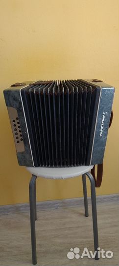 Гармонь маричка