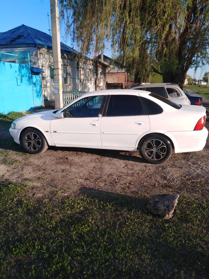 Opel Vectra: фото владельца