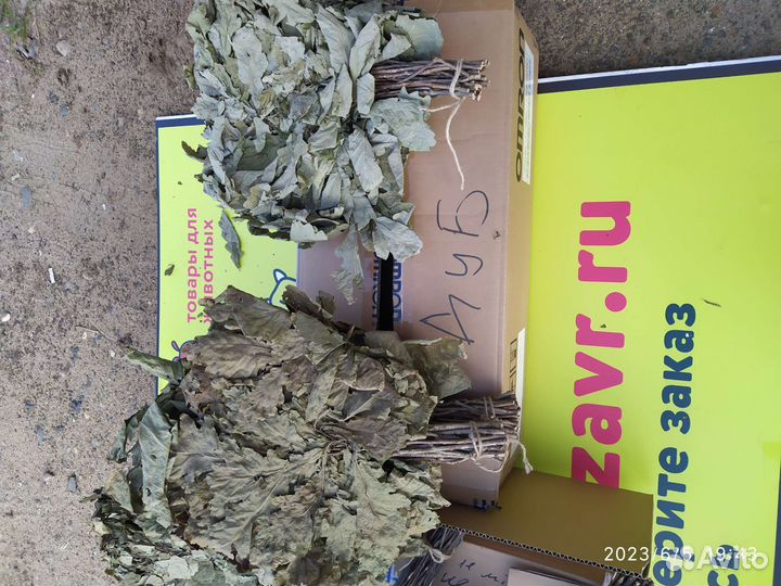 Веники для бани