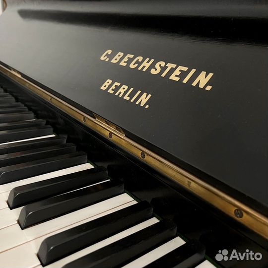 Акустическое пианино Bechstein + Аксессуары