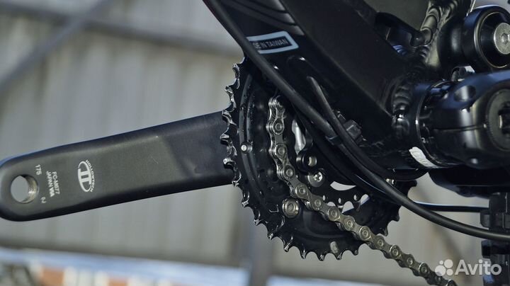 Mongoose Teocali Expert