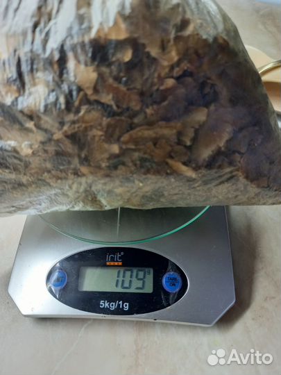 Перегородки из грецких орехов