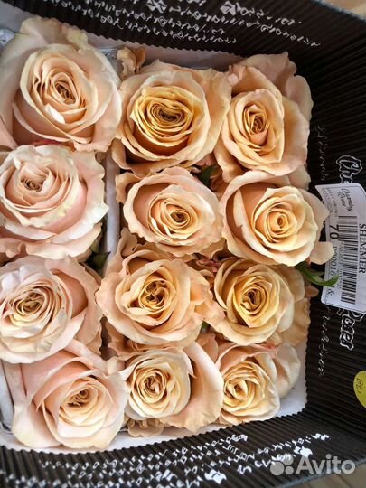 Розы доставка бесплатная