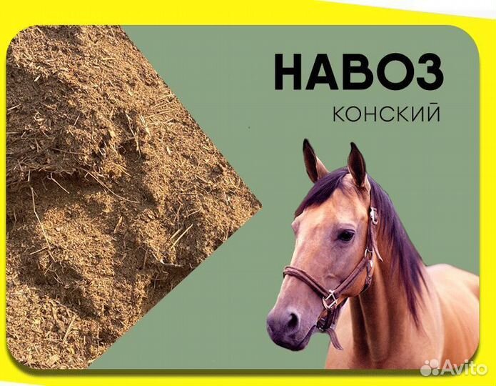 Конский навоз