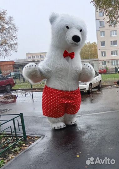 Белый мишка поздравление ростовой медведь аниматор