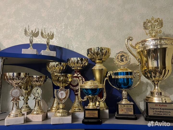 Тренер по шахматам