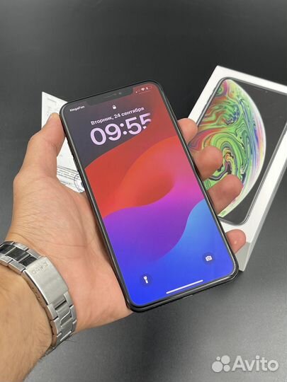 iPhone Xs Max, 256 ГБ