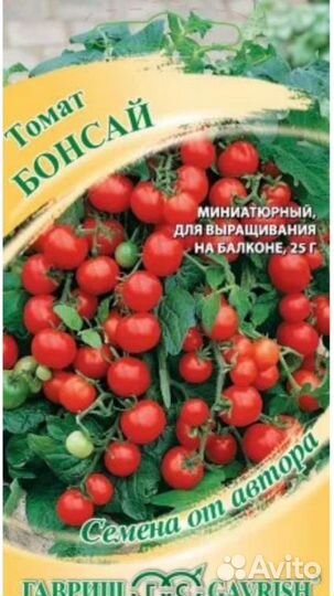 Помидоры Балконное чудо. Бонсай