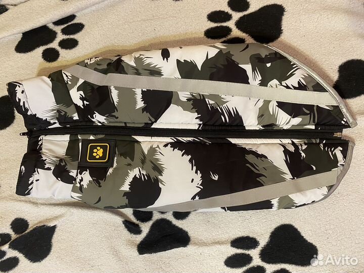 Одежда для средних собак