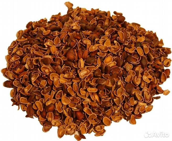 Скорлупа кедрового ореха