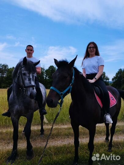 Катание на лошадях, занятия, фотосессии, выезды