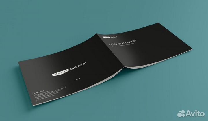 Сервисная книжка Geely