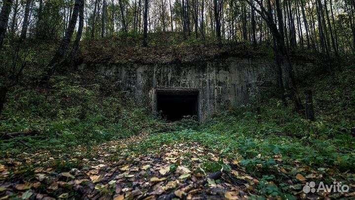 Тур на электровелосипедах 