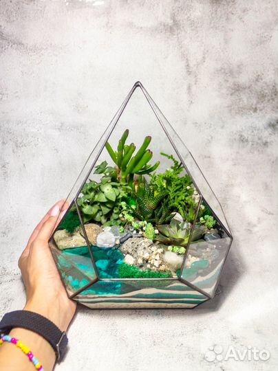 Большой флорариум с суккулентами