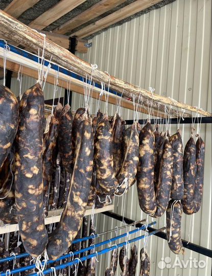 Казы халяль