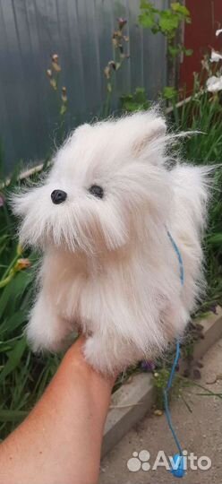 Интерактивная собака