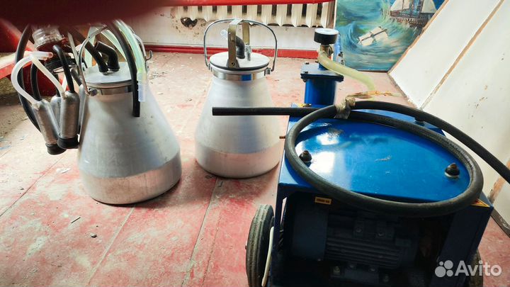 Доильный аппарат для коров