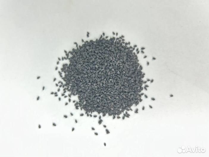 Кунжут черный / Для маслоделов