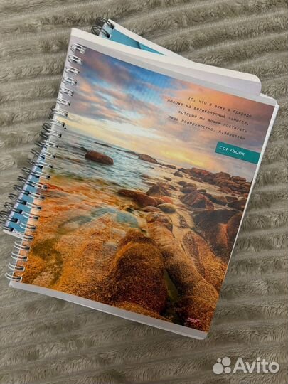 Тетради школьные