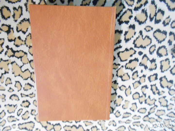 Э.А. Кириллова - От шансона до оперым - Концертная