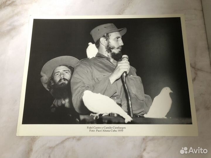 Фото-плакаты : 