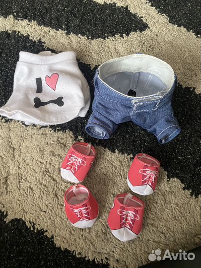 Chi chi love собачка