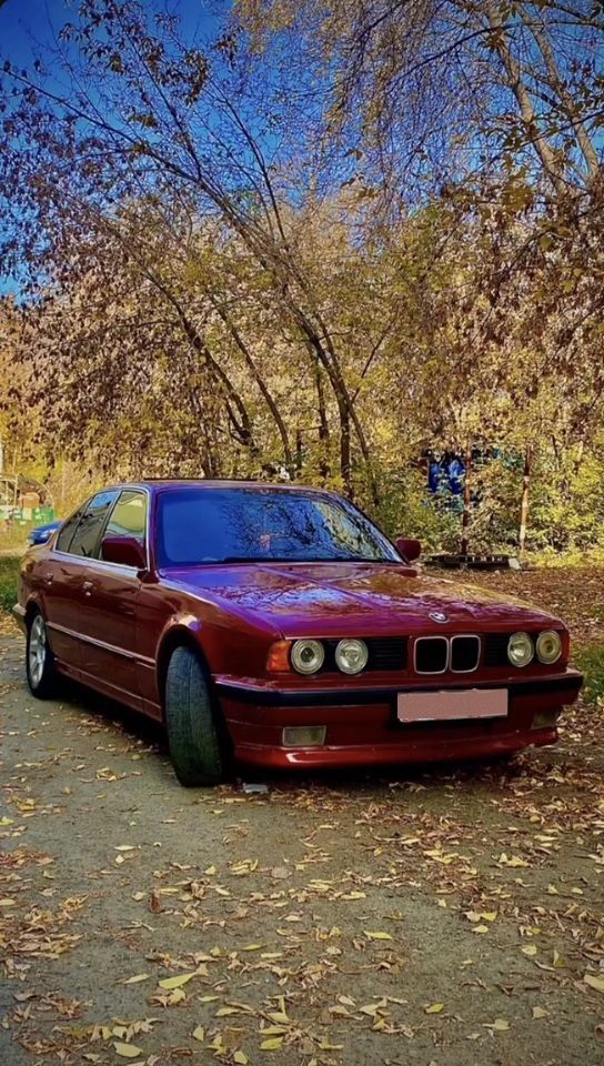BMW 5 серия: фото владельца