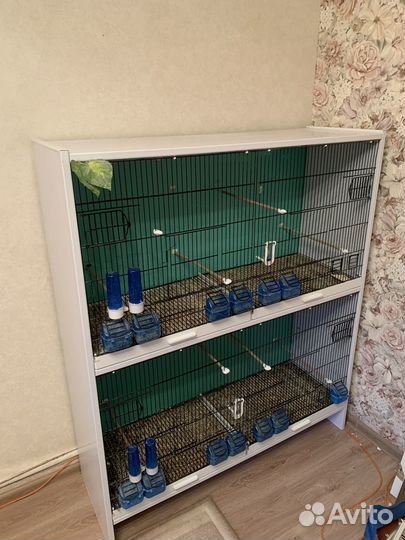 Клетка для птиц