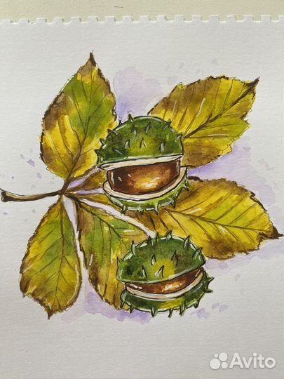 Акварельные рисунки