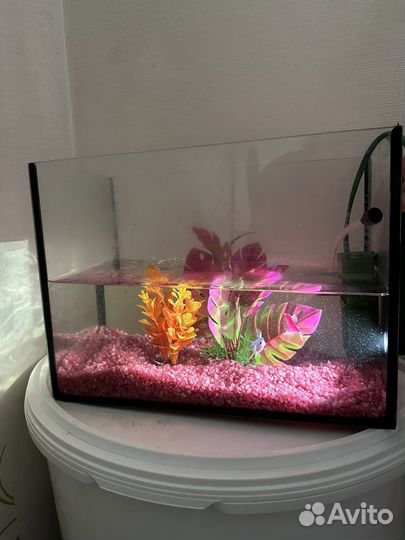 Аквариум с рыбками